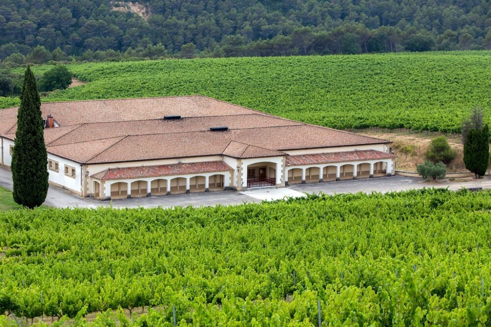 PUENTE LA REINA - BODEGA SEÑORÍO DE SARRIÁ