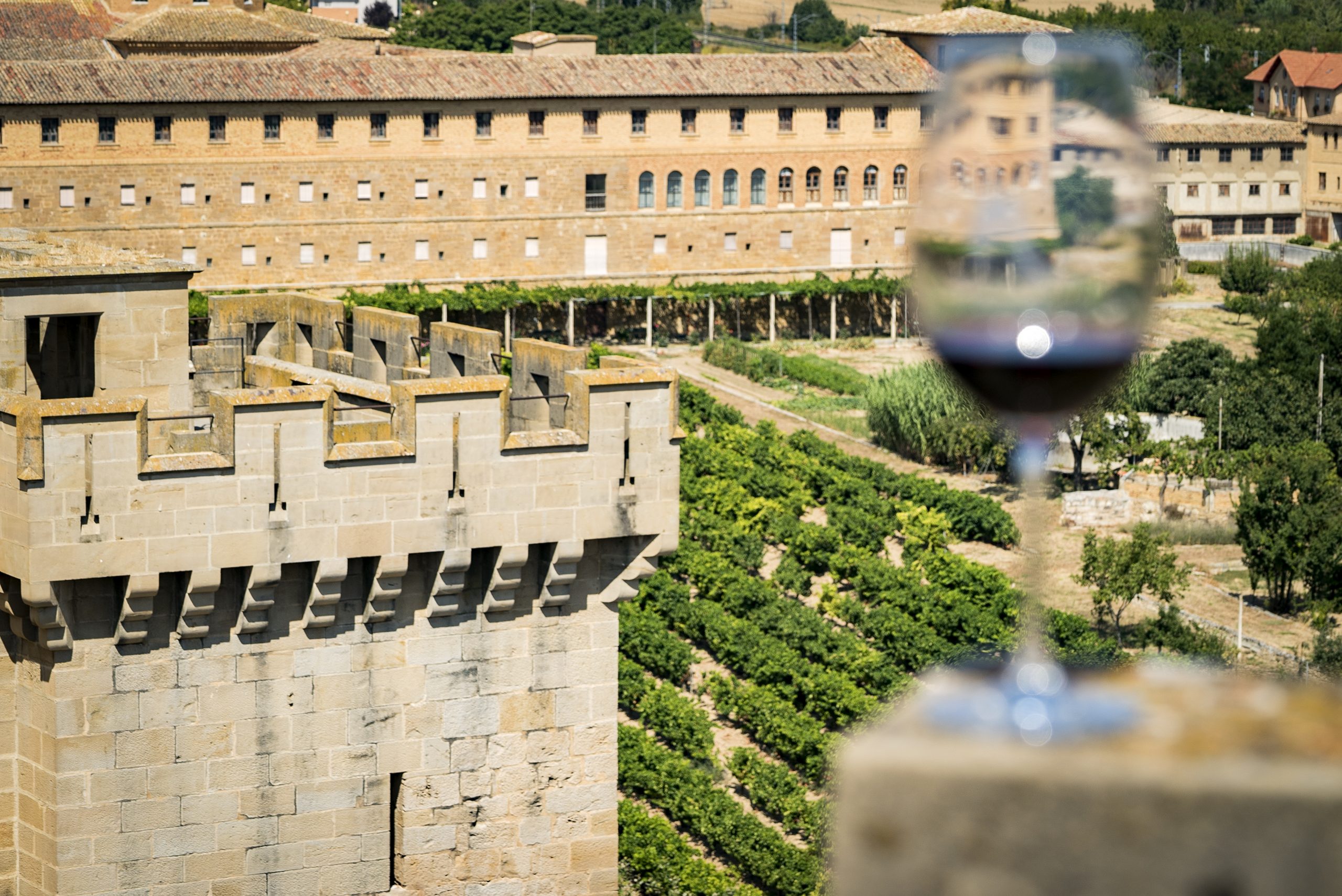 Vista de viñedos desde Olite
