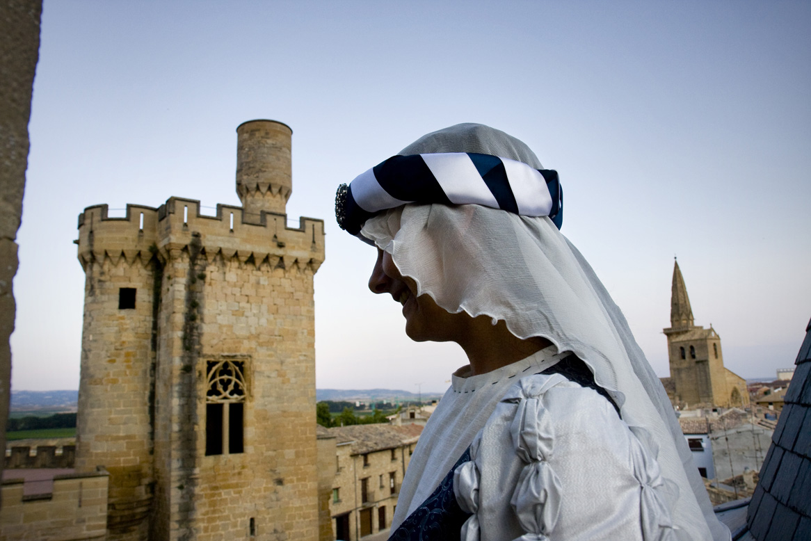 Castillo de Olite