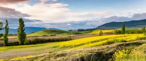 Naturaleza y biodiversidad