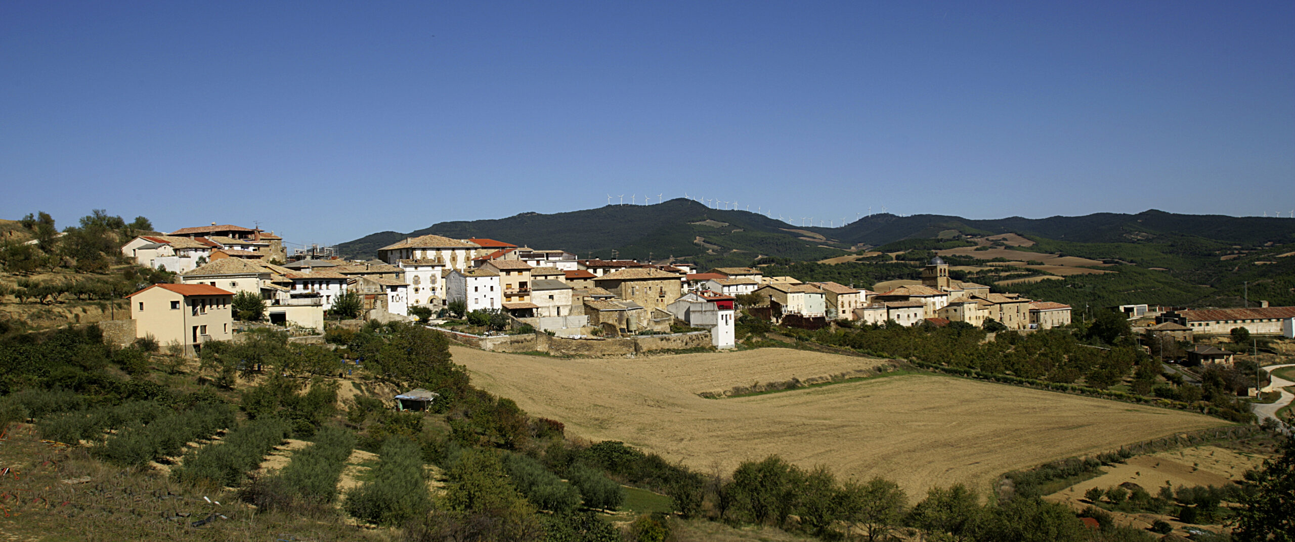 Vista panorámica de Artazu