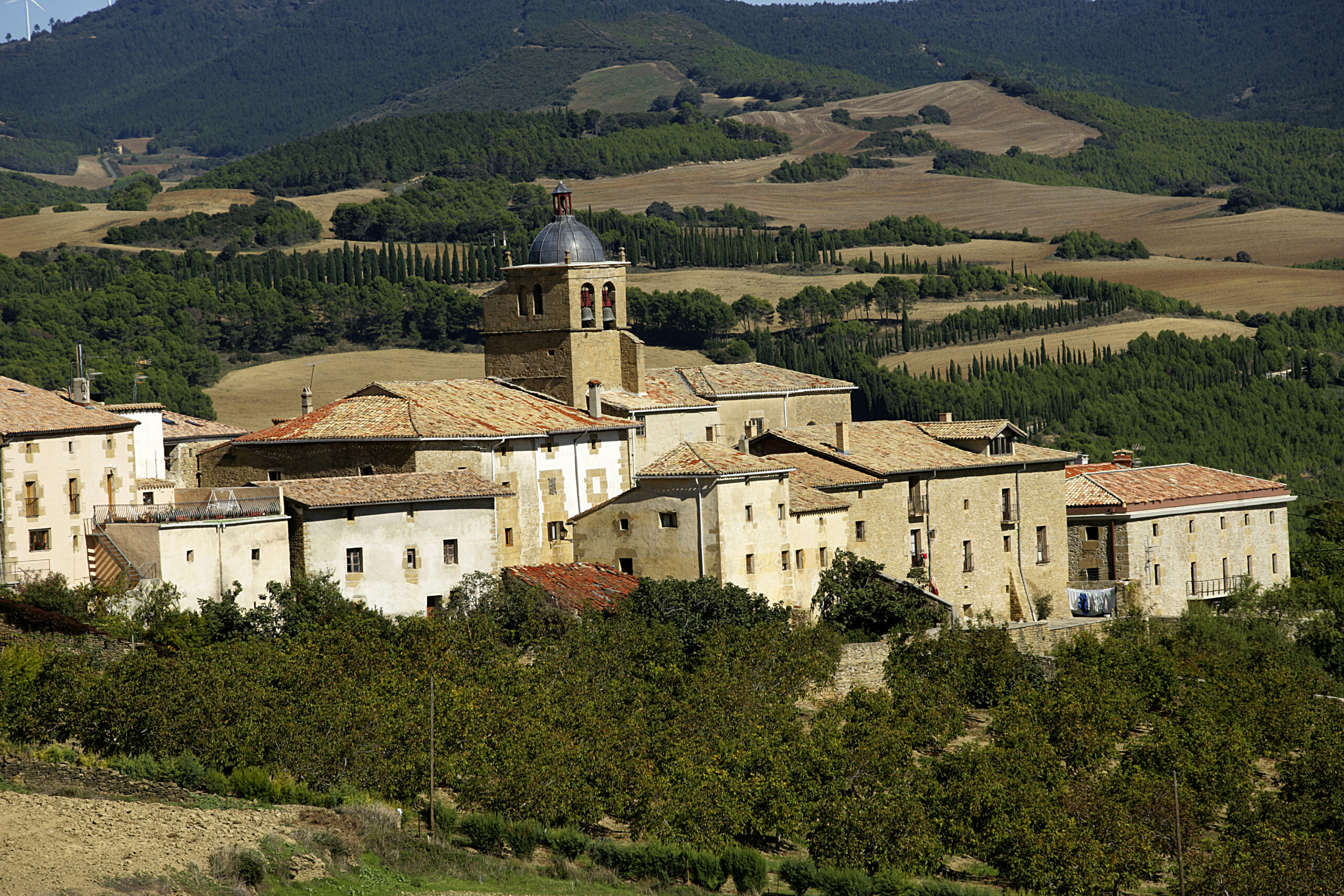 Vista de Artazu