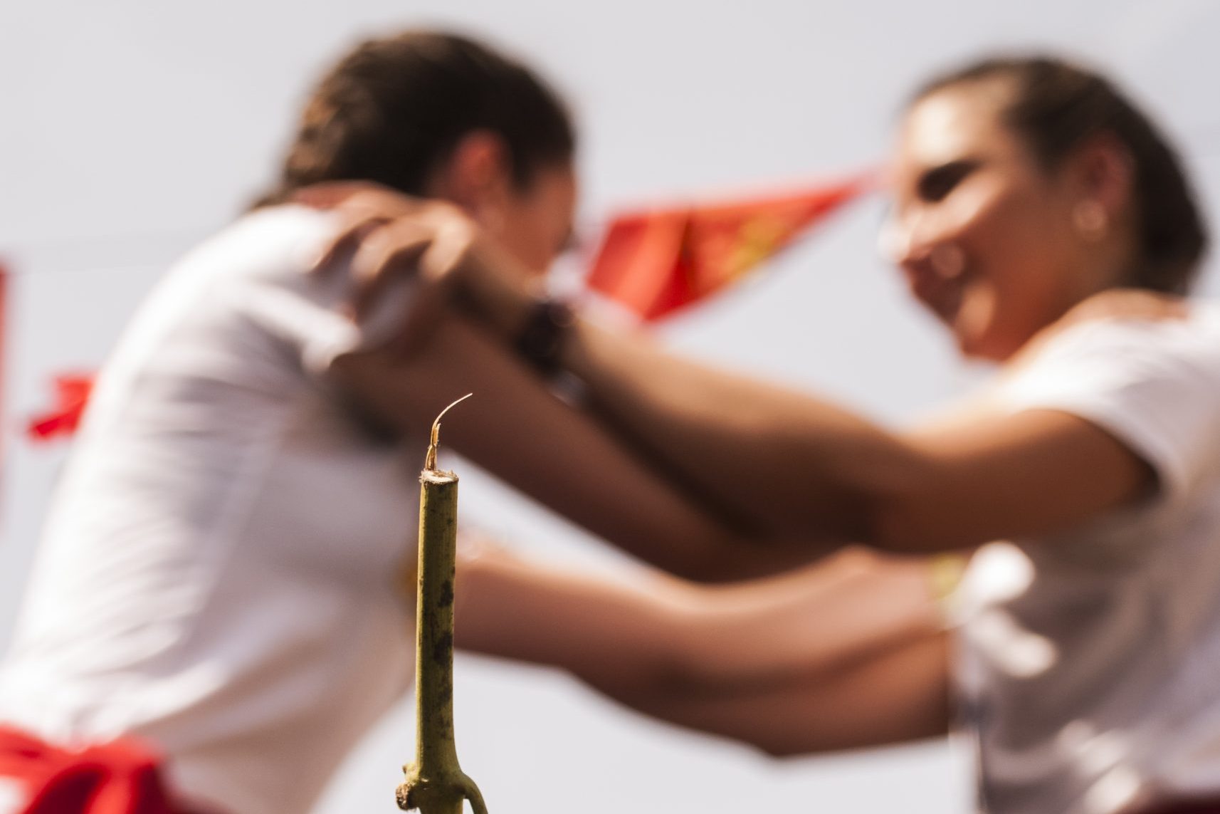 Fiestas de Navarra Media