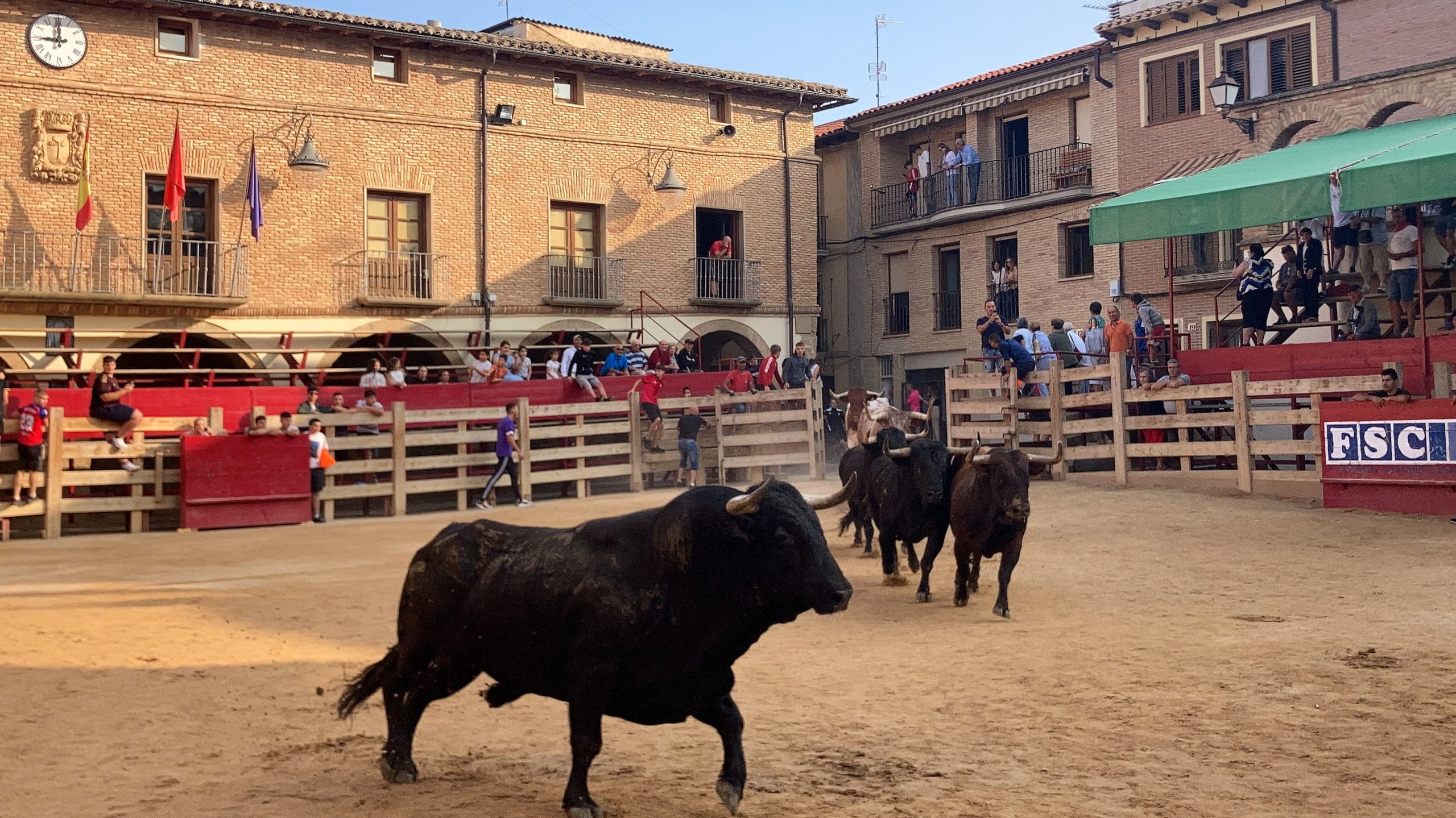 Tierra de la vaca Brava