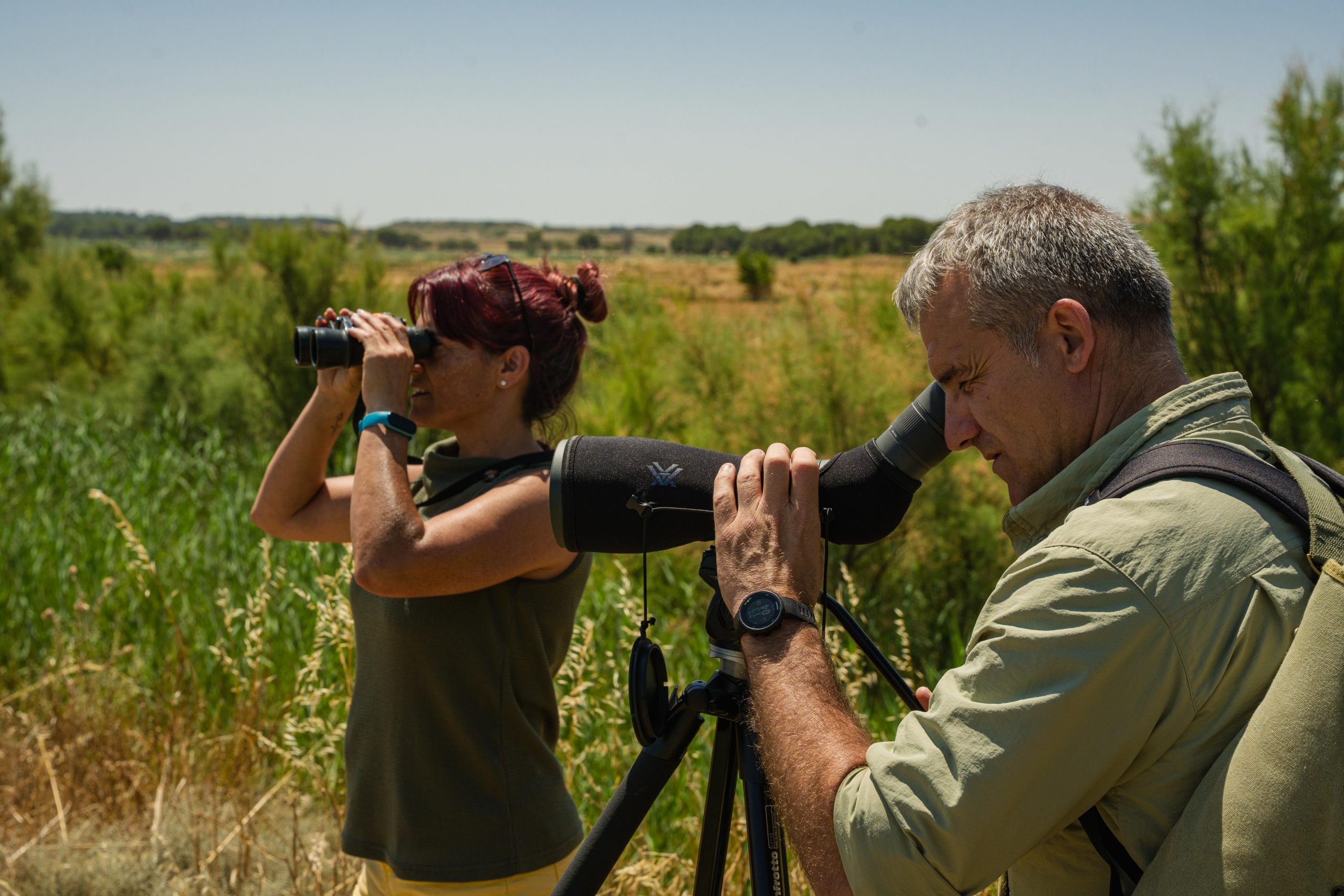 Observación de aves en la Laguna Dos Reinos