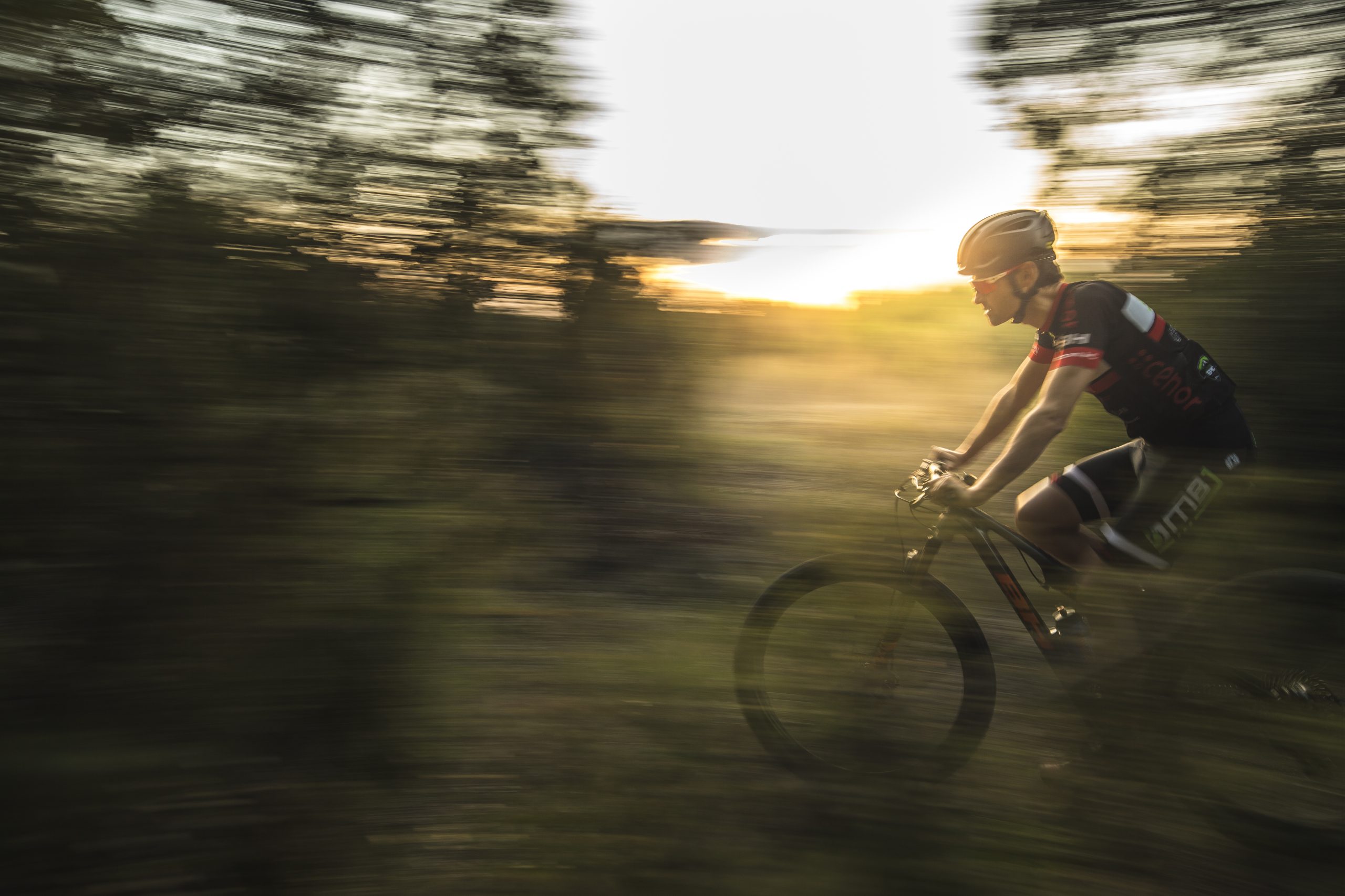 Cicloturismo en Navarra Media: elige tu ruta perfecta