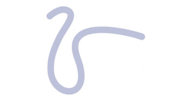 Logo Fiesta del Agua