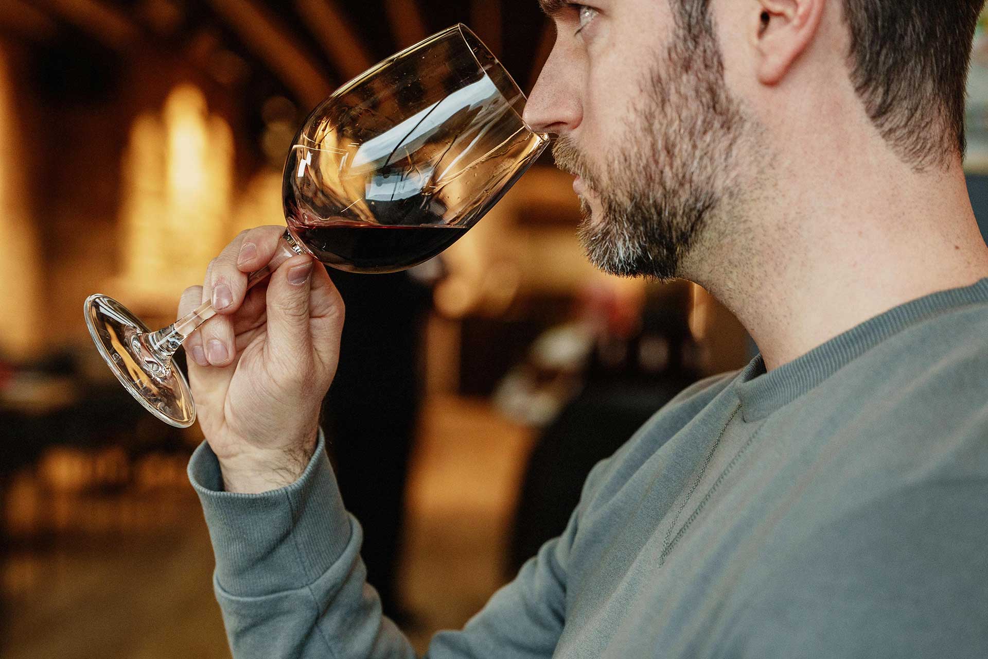 Cata de vinos Navarra Media