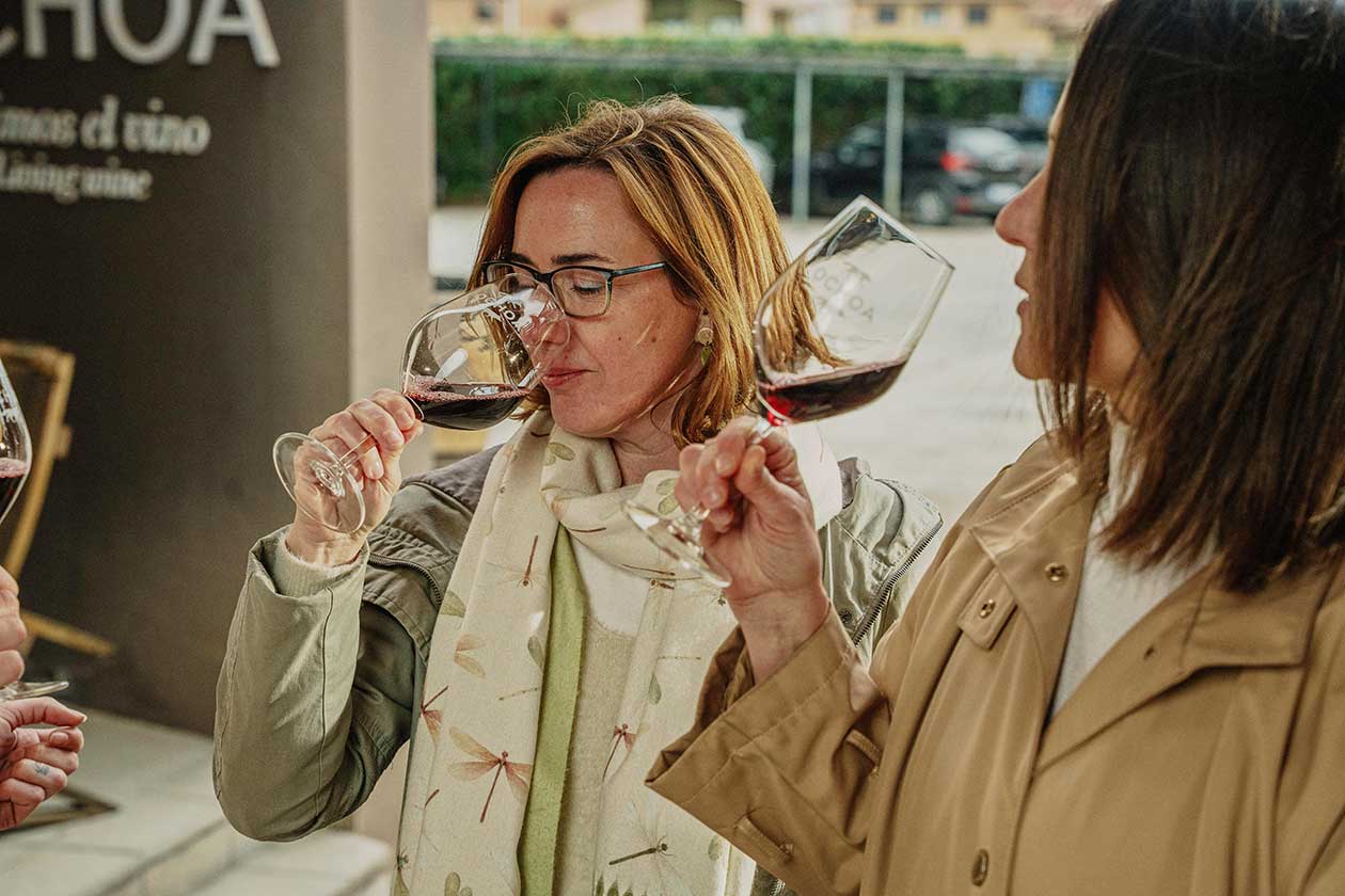 Catas Navarra Media