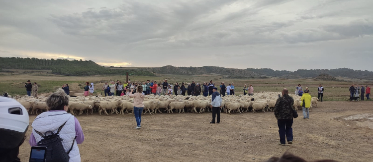 Fiesta de la trashumancia de Bardenas Reales