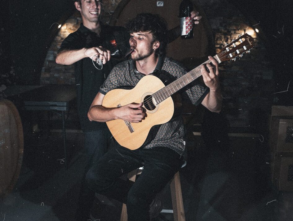 Musika ardotan