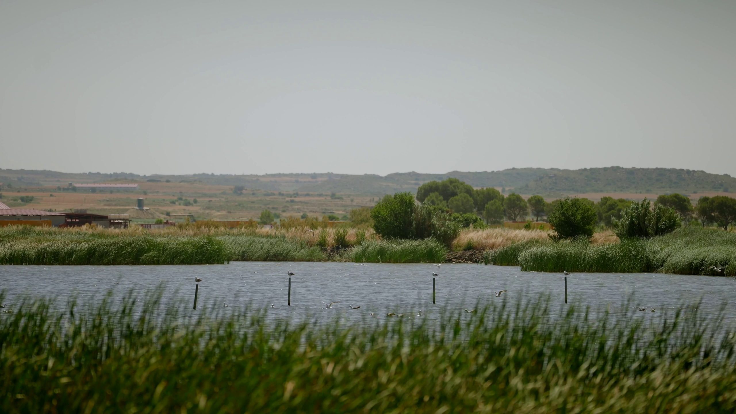 Laguna Dos Reinos